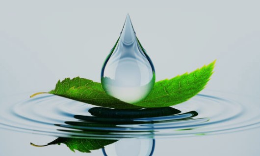 Naturalne oleje w pielęgnacji skóry noworodka